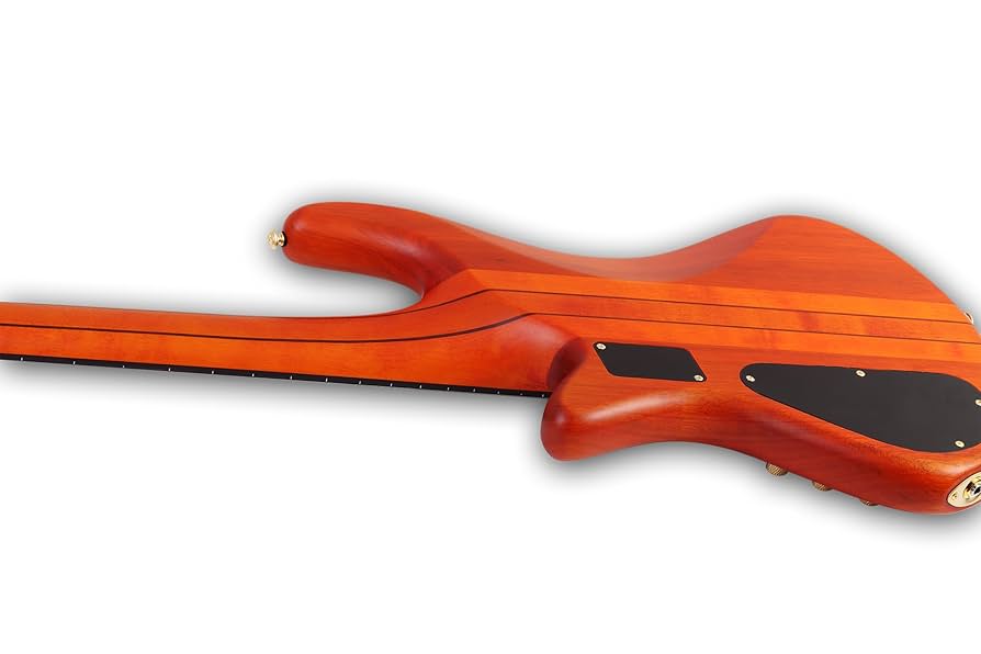 SCHECTER　シェクター　STILETTO　STUDIO5　5弦ベース SCHECTER シェクター STILETTO STUDIO 5 FF HSN 5弦ベース